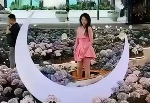 董医生的家底被扒了个底朝天,被称为京圈公主,却没想到当了小四